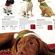 Illustration for article titled Fetchdog, Drs Fosters Smith: Howliday Humiliation For Dogs Cats